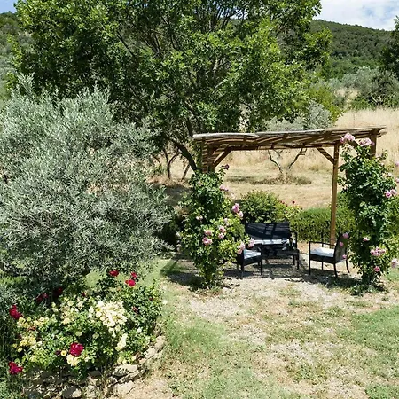 San Martino Agli Ulivi קורטונה