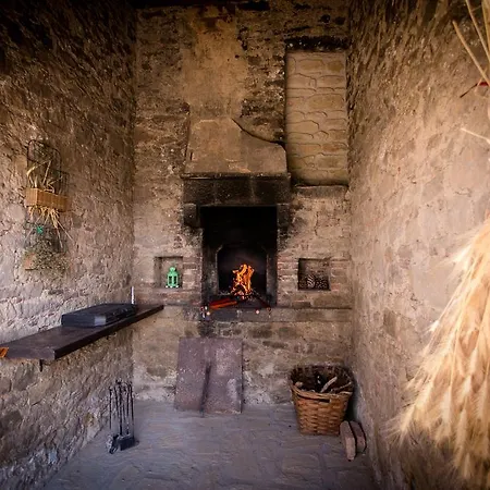 Séjour à la ferme San Martino Agli Ulivi