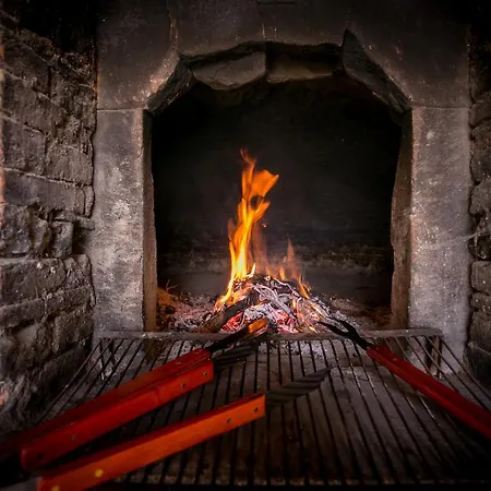 Séjour à la ferme San Martino Agli Ulivi